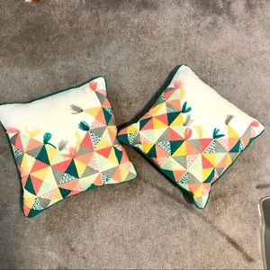 Set of 2 Target throw pillows.